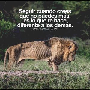 Meet your Posher, Carlos